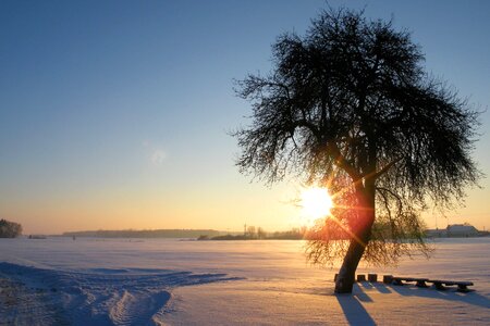 Landscape snow sun photo