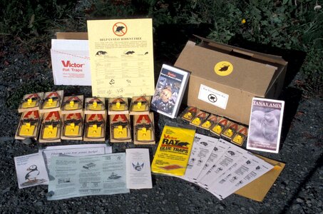 Prevention rodent 
