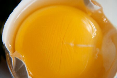 Egg Yolk Closeup photo
