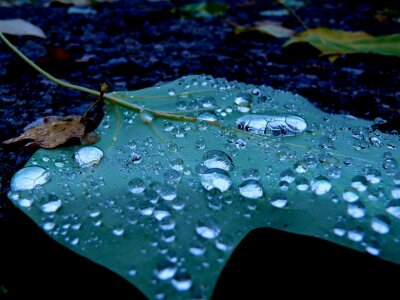 Nature picture beautiful