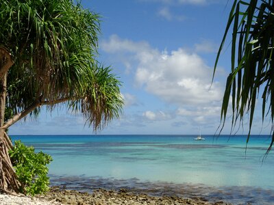 Beach nature landscape photo