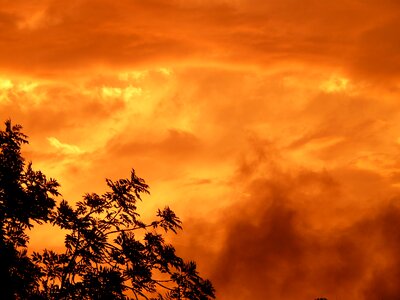 Romance love sky