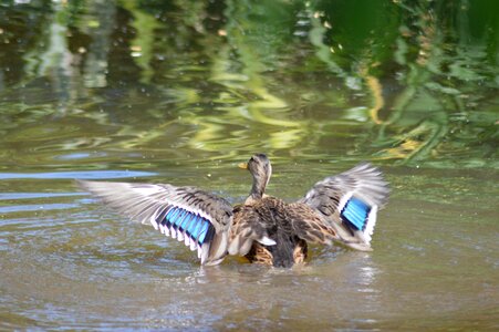 Teal lake water