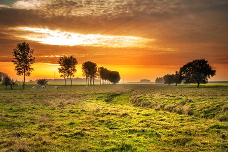 Agriculture atmosphere autumn photo