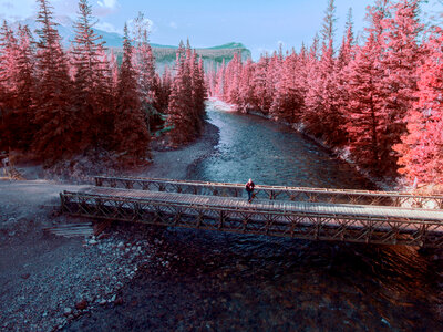 River Landscape with pink trees in Jasper National Park, Alberta, Canada photo