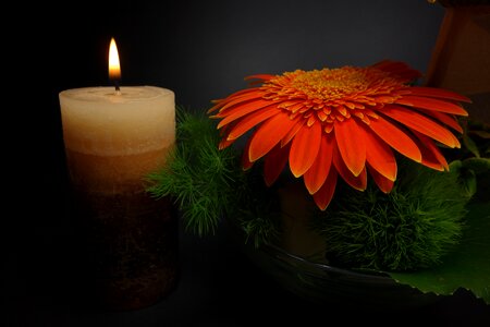 Mourning memory death