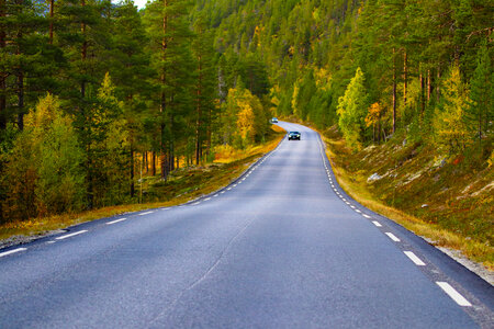 Norwegian country road in the summer among the mountains