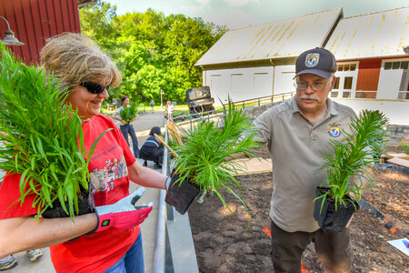 Volunteers and employees plant a monarch garden