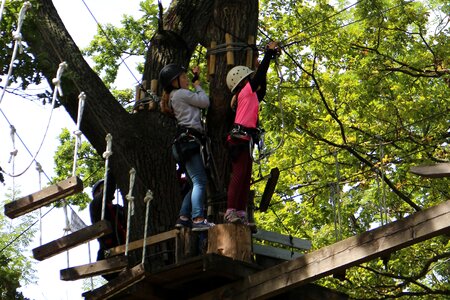 High ropes course climbing garden climbing forest