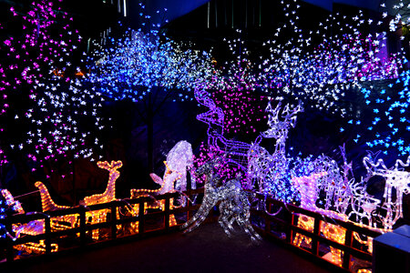Lights and Christmas Decorations with animals and tree lights photo