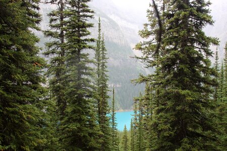 Valley of Ten Peaks. Banff National Park photo