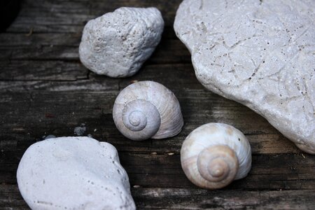 Stone wood still life