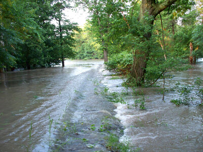 Swan Lake National Wildlife Refuge flood waters photo