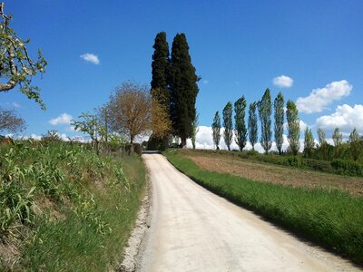 Tuscany tuscan landscape italy