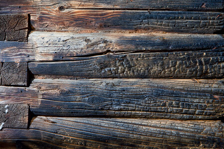 Burnt Wood Texture photo