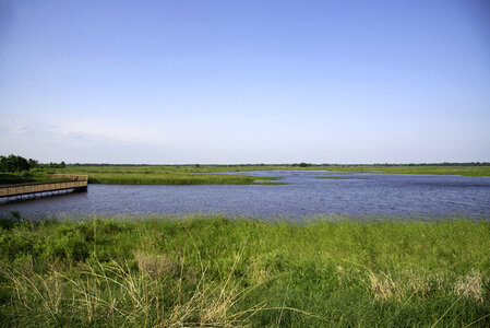 Landscape with marsh and boardwalk