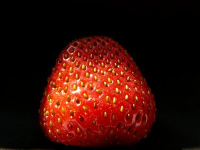 Fruits sweet berries