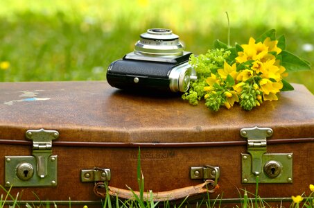 Beautiful Photo camera flower