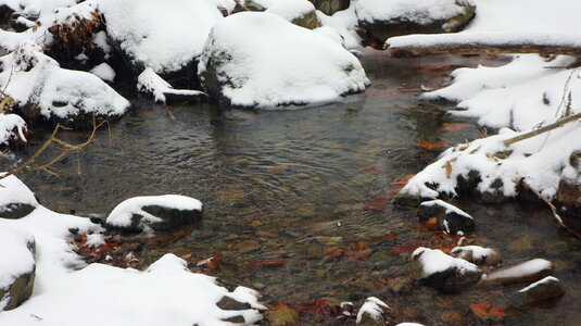 Appalachian Trail Virginia photo