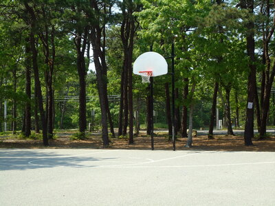Basketball Court Hoop photo