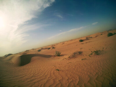 19 Desert safari photo
