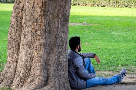 Man Sitting Under a Tree photo
