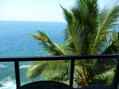 Balcony Sea View Palms photo