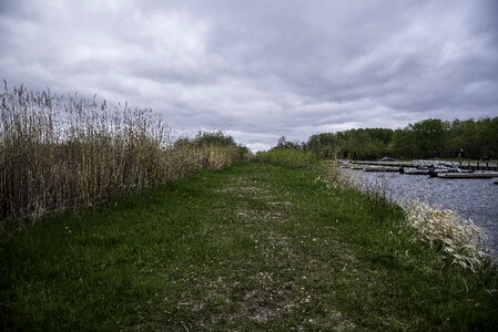 Grassy path and Boat Docks at Zippel Bay State Park, Minnesota