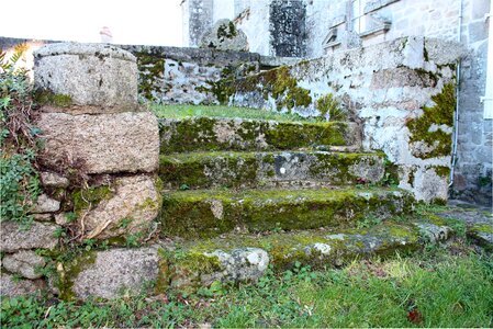 Mossy steps worn old steps moss photo