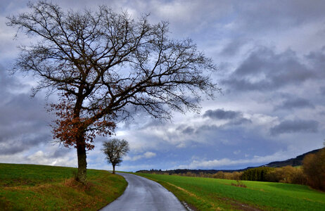Landscape with tree and clouds in Luxembourg photo