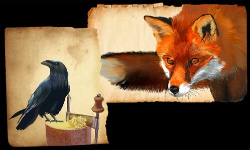 Tête de moine fox raven