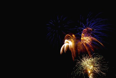 Celebration firework fireworks