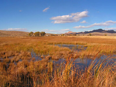 Middle marsh photo