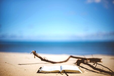 Beach coast coastline photo