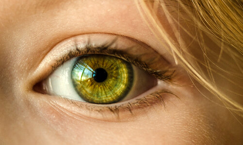Closeup of Green Eyeball photo
