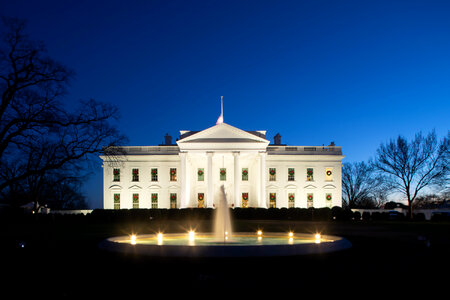 The White House at night with Christmas lighting photo