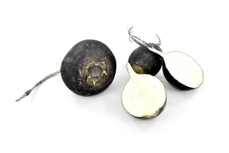 Black And White radish root