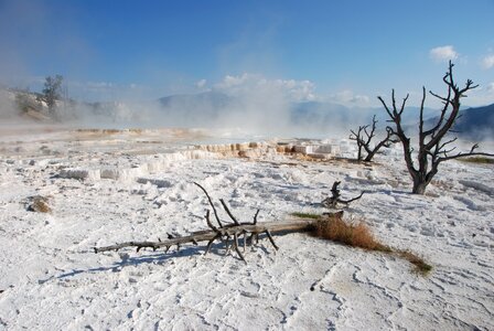 Landscape wyoming scenery photo