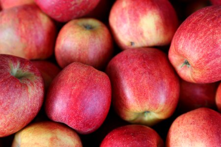 Fresh healthy red