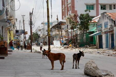 Street road city photo