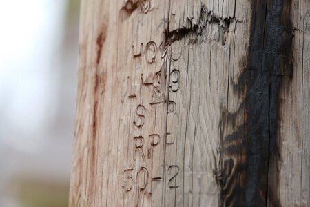 Texture grunge carved