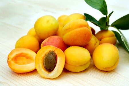 Apricot beautiful photo delicious