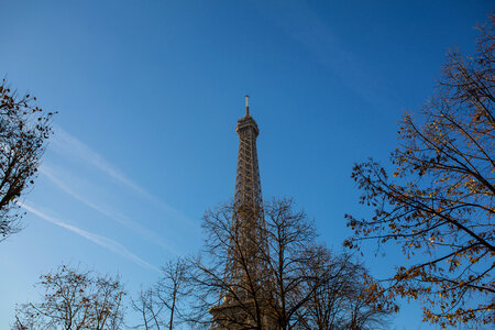 Eiffel Tower in Autumn Paris, France photo