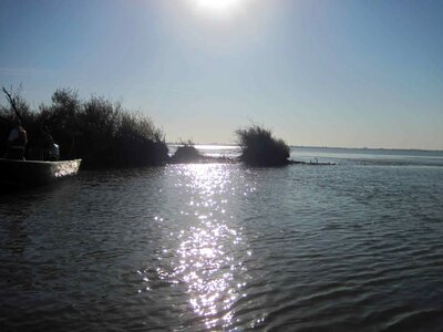 Delta island liberty