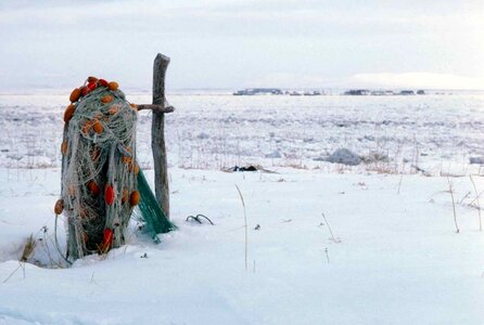 Fishery frozen hanging