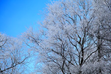 Chilly cold freeze photo