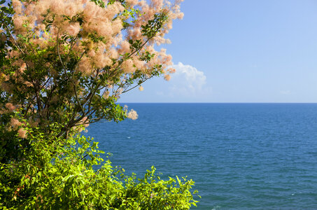 Sea