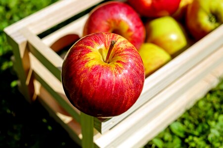 Apple apples beautiful photo photo