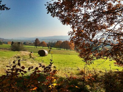 Autumn harvest iphone