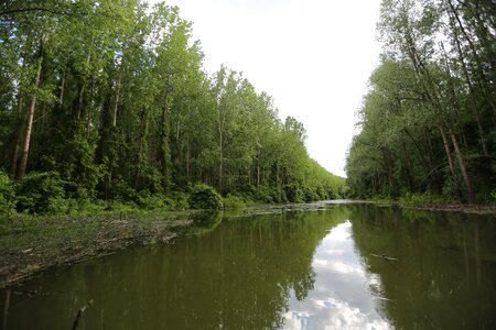 Riverbank channel river photo